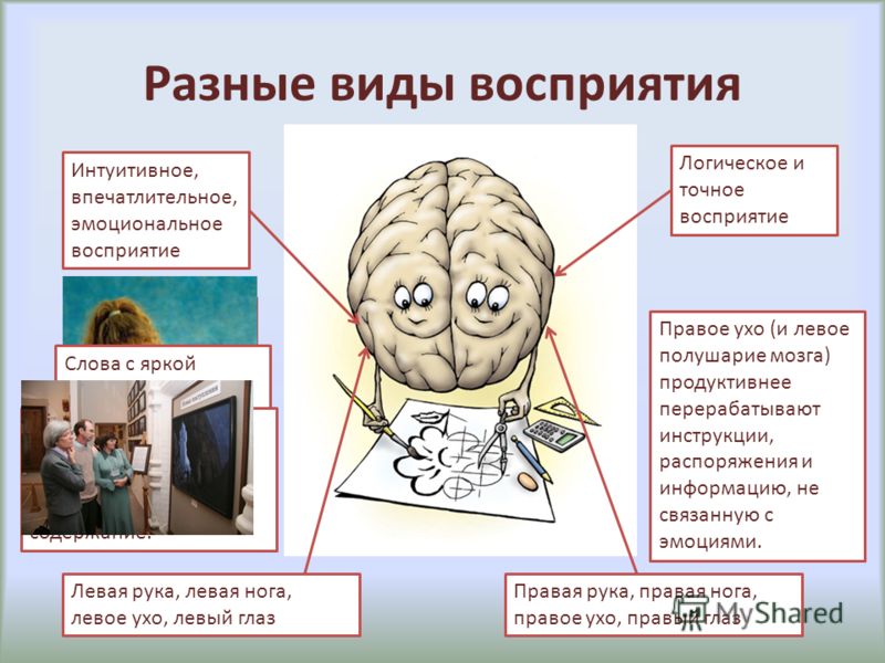 Влияние контекста. Психология восприятия информации. Виды эмоционального восприятия. Восприятие презентация. Эмоциональное восприятие информации.