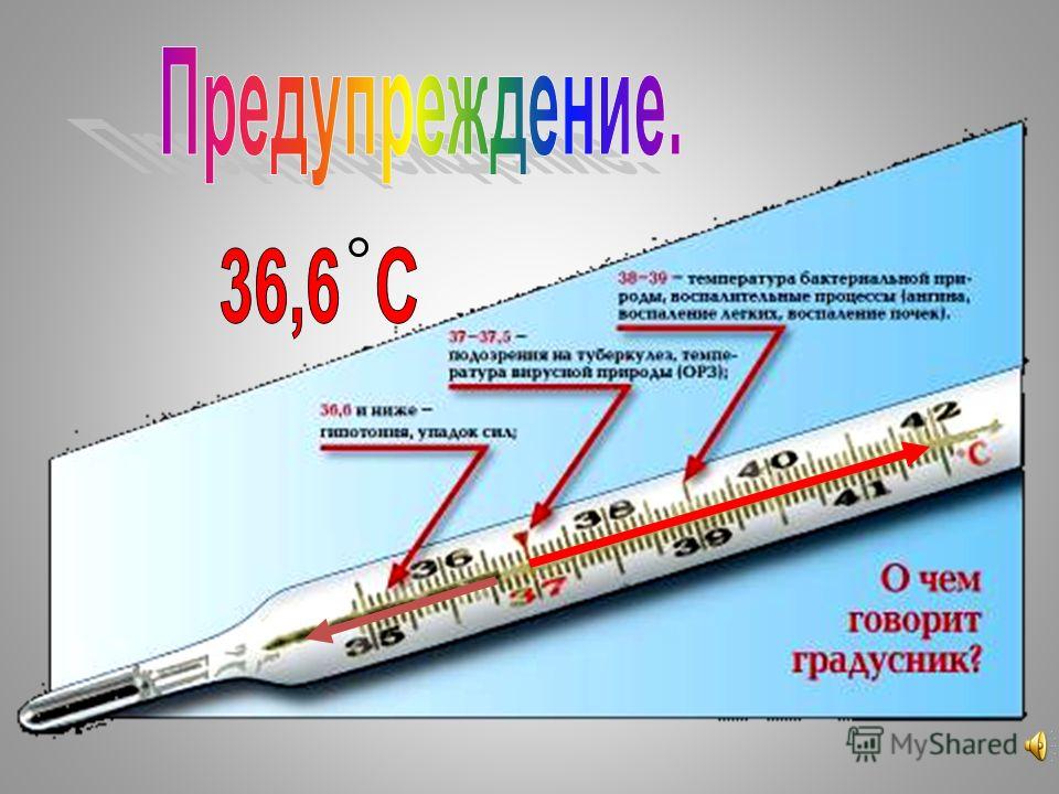 Торт в виде градусника