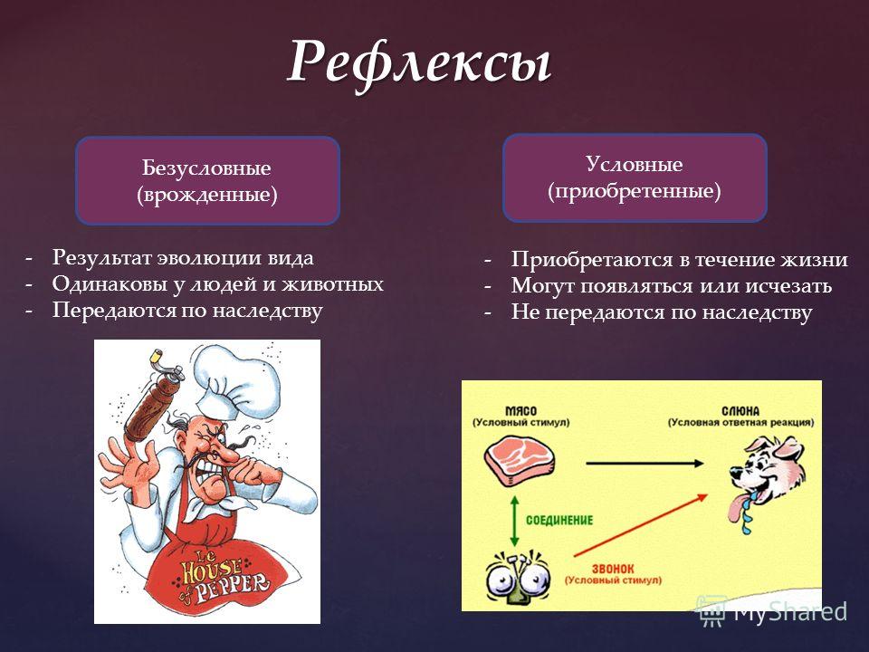 Примеры условных рефлексов у человека в картинках