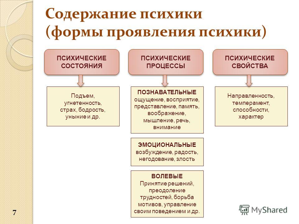 Виды психической деятельности. Психика формы проявления психики. Функции и формы проявления психики. Формы проявления психики в психологии. Функции психики. Формы проявления психики..