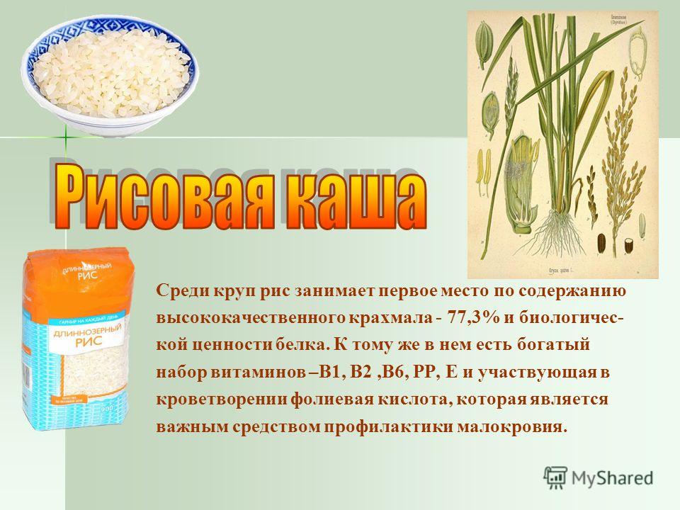 Чем полезна рисовая каша. Рисовая крупа презентация. Сообщение про крупу рис. Рисовая каша презентация. Презентация крупы для детей.