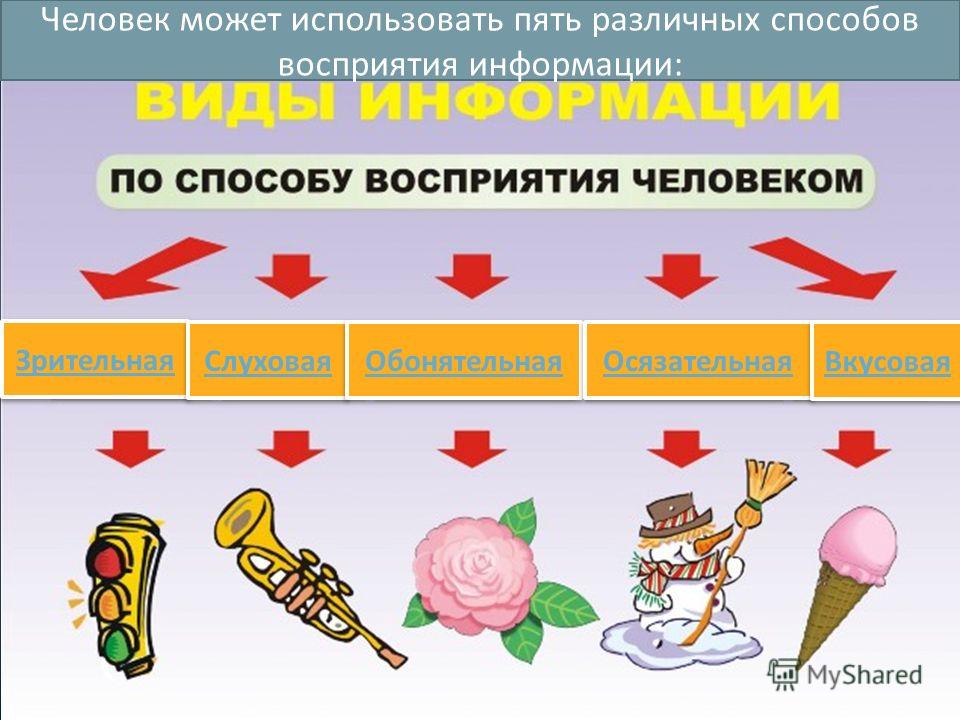 По способу восприятия человеком различают виды информации