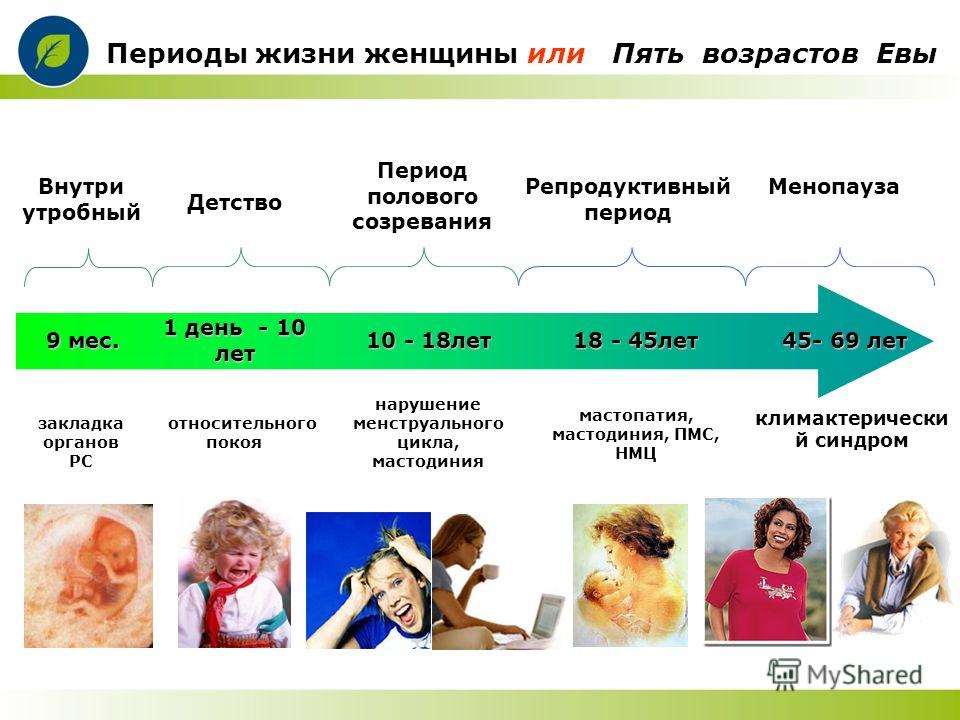 4 периода жизни. Периоды жизни женщины. Переводы жизни женщины. Возрастные периоды женщины. Периодизация возраста женщин.