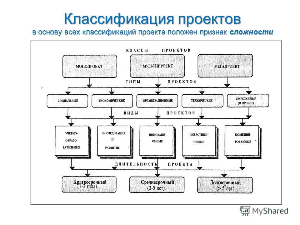 Классификация проектов и их виды в школе