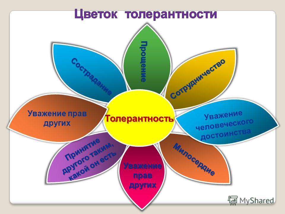 Уважение к человеку это определение. Цветок толерантности. Цветок толерантности для детей. Цветок толерантности пустой. Задание цветок толерантности.