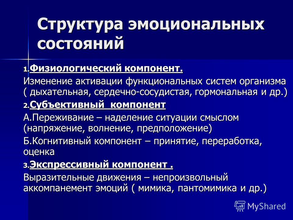 Состояние через которое проходит проект называют