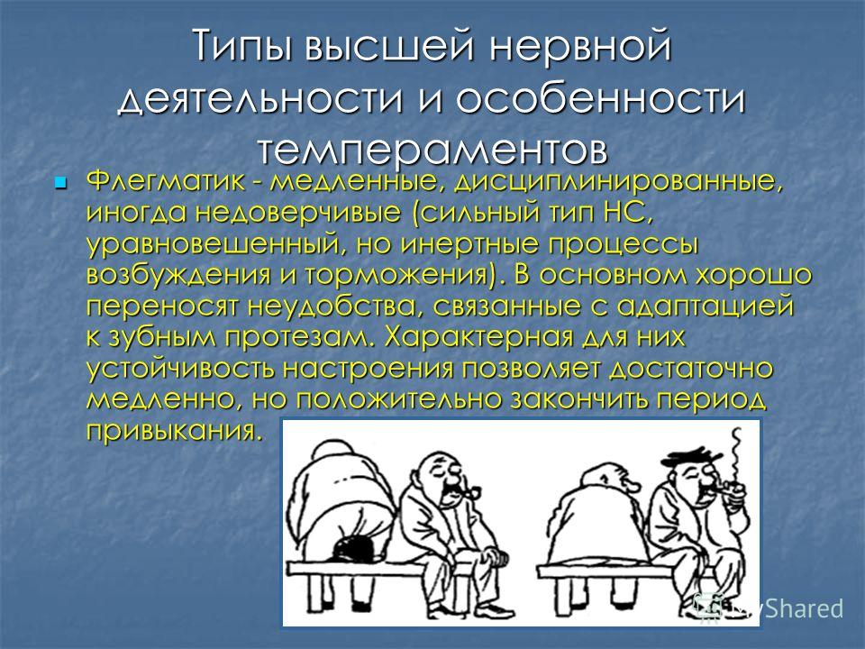 Особенности темперамента. Тип высшей нервной деятельности и темперамент. Типы ВНД. Тип ВНД холерик. Типы нервной деятельности человека.