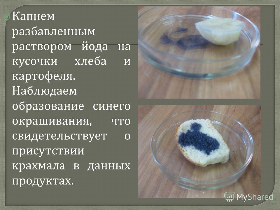 Наденьте перчатки поместите в колбы по чайной ложке разных образцов сметаны или йогурта