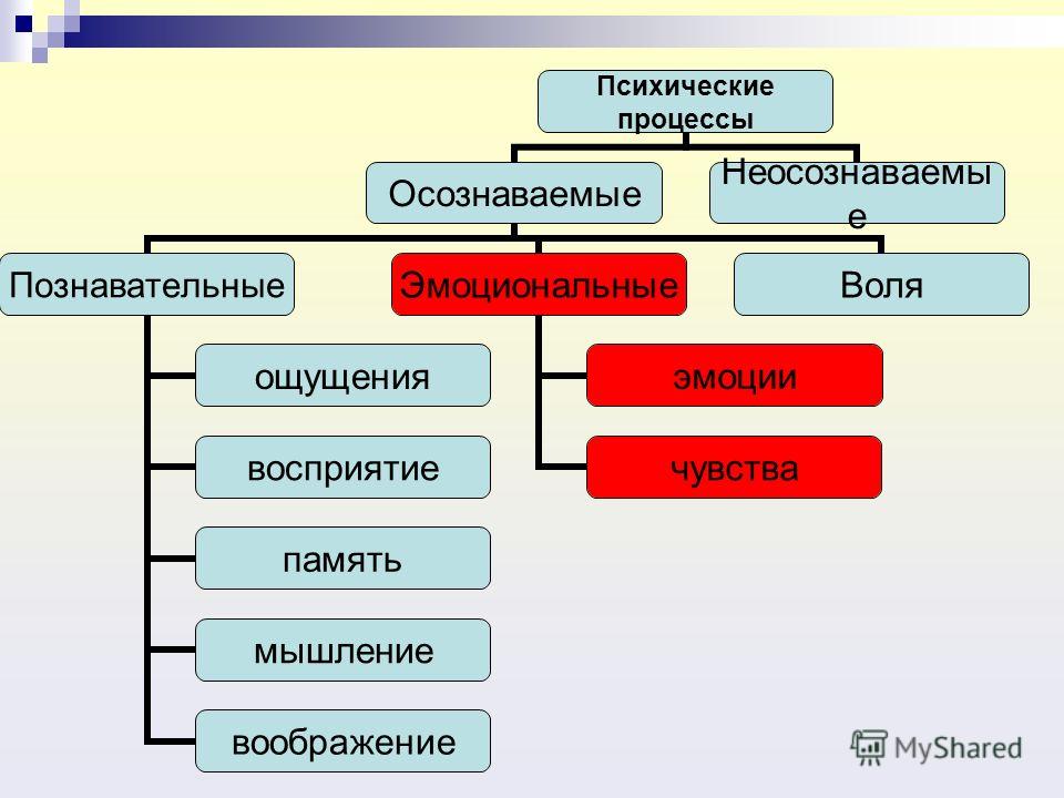 К психическим процессам относится. Психологические процессы Познавательные эмоциональные волевые. Познавательные психические процессы картинки. Психические процессы это Познавательные, эмоции, чувства, Воля. Психические процессы памяти подразделяются:.