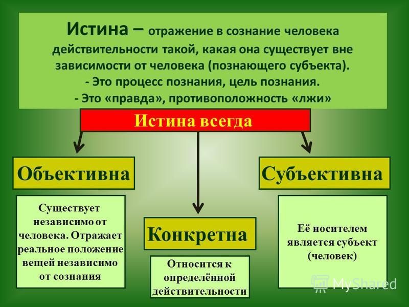 Истина в обществознании план