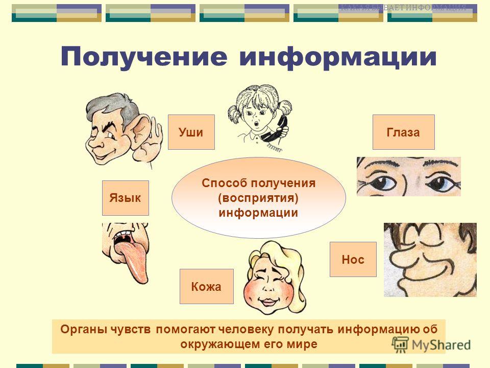 Виды информации по способу восприятия иллюстрации. Способы получения информации 3 класс Информатика. Способы восприятия информации человеком. Способы получения информации человеком. Способы принятия информации.