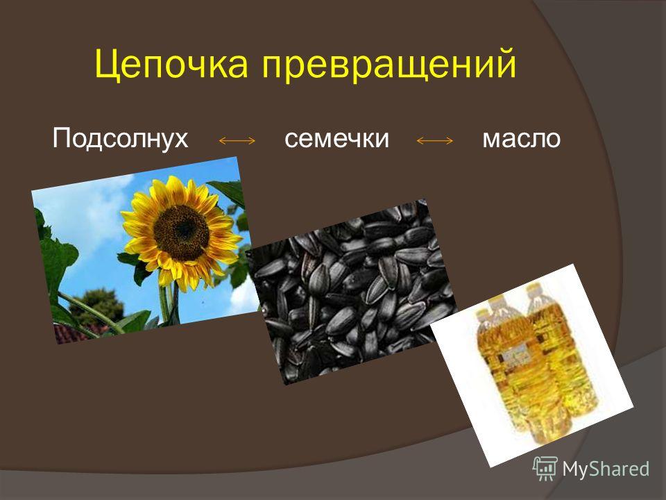 Использование семян в деятельности человека. Подсолнухи для презентации. Презентация семечек. Семечки для презентации. Подсолнух для слайда.