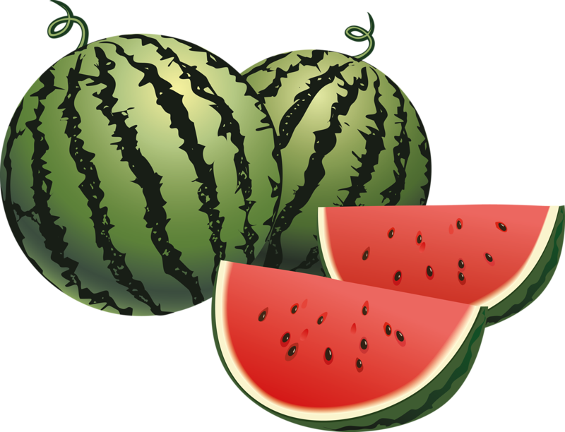 С английского на русский watermelon. Арбуз вектор. Арбуз для детей. Арбуз на белом фоне. Арбуз на прозрачном фоне.