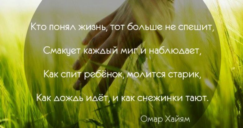 Как понять кто я. Кто понял жизнь тот больше не спешит. А жизнь идет и надо жить. Нельзя торопиться в жизни. Цитата кто понял жизнь тот.