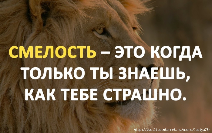 Смелость это. Цитаты про смелость. Цитаты про смелость и решительность. Цитаты про храбрость. Смелые цитаты.