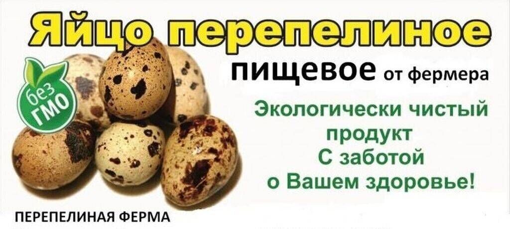 Объявление о продаже яиц домашних образец