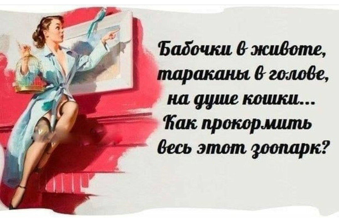 Дел полно. Бабочки в животе тараканы в голове. Мои тараканы в голове притихли. Тараканы в голове притихли наверное. Тараканы в голове притихли.