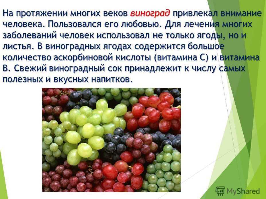 Какого витамина больше всего в винограде. Витамины в винограде. Полезные вещества в винограде. Виноград полезное витамины. Витамины содержащиеся в винограде.