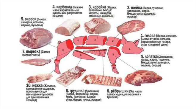 Разделка поросенка