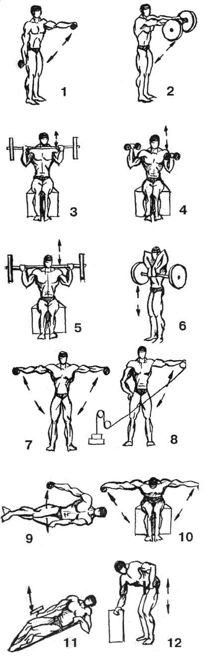 Домашние упражнения на плечи для мужчин. Упражнения с гантелями для грудных мышц для мужчин в домашних. Упражнения с гантелями на грудные мышцы для мужчин. Упражнения на грудь с гантелями для мужчин. Комплекс упражнений с гантелями для грудных мышц для мужчин схемы.