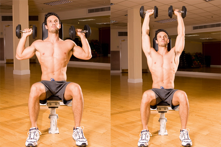 Seated Dumbbell overhead Press