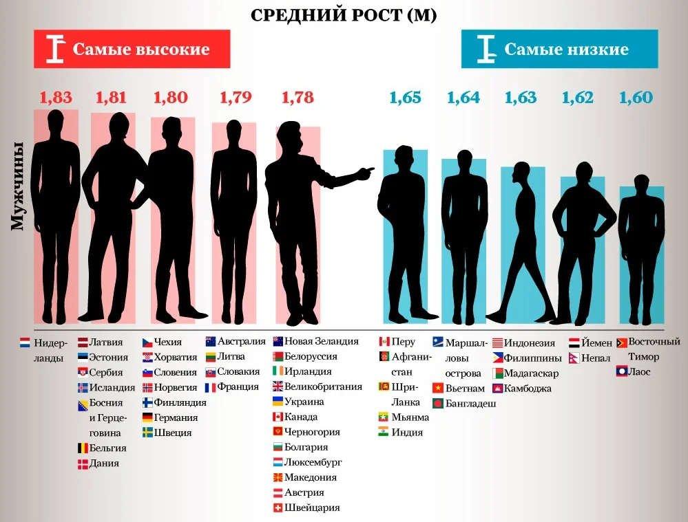 Сколько в мире происходит. Средний рост мужчины в Европе. Средний рост мужчины в России таблица. Средний рост мужчины. Средний рост человека.
