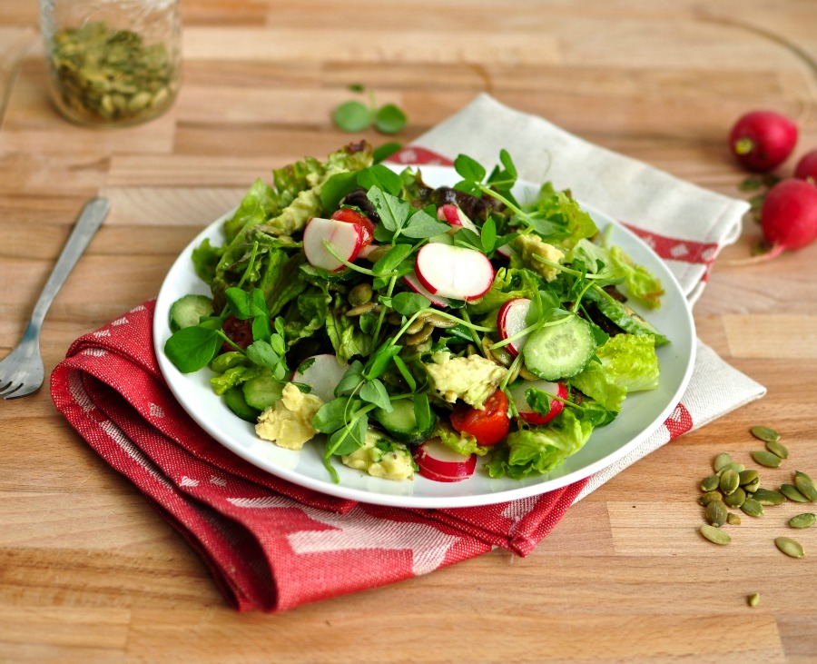 Есть ли салат. Пайгусов Грин салад. Green Salads Турция. Green Salad Белиссимо. Зеленый салат фуд клаб.