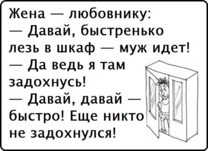 Любовники дали. Анекдот про мужа гардероб и холодильник. Анекдот цветок на шкафу муж.