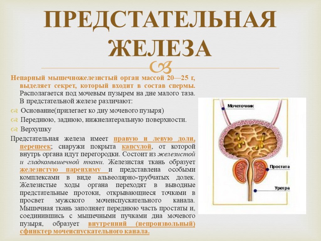 Аденома простаты презентация