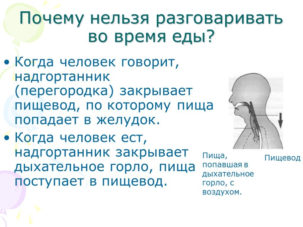 Пища попадает. Почему во время еды не рекомендуется разговаривать. Почему нельзя разговаривать во время приема пищи. Почему пища попадает в носоглотку. Почему нельзя говорить во время еды.