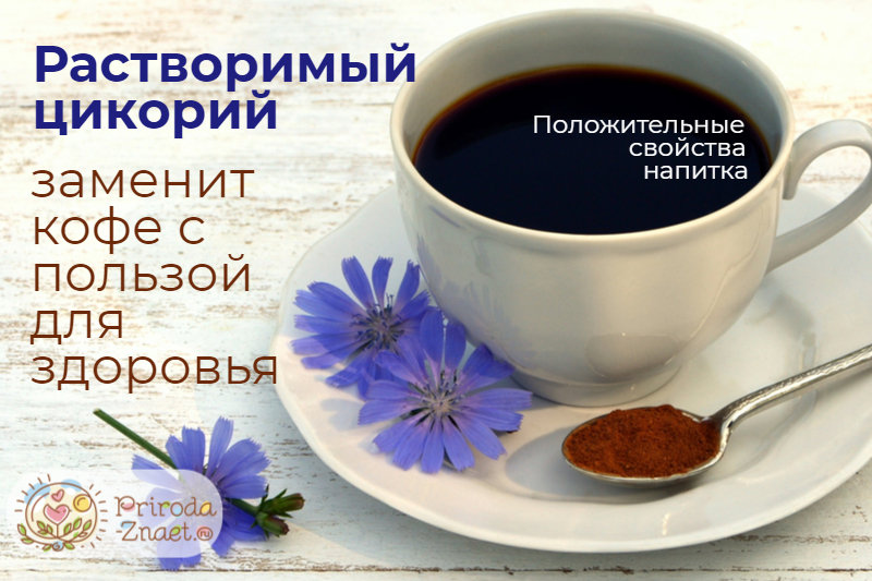 Кофе цикорий польза и вред