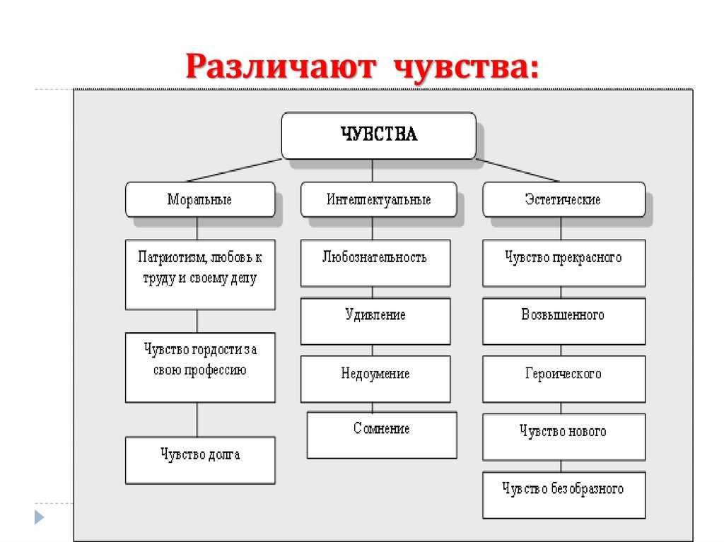 Соотнесите картинку и вид базовой эмоции практическое задание 3