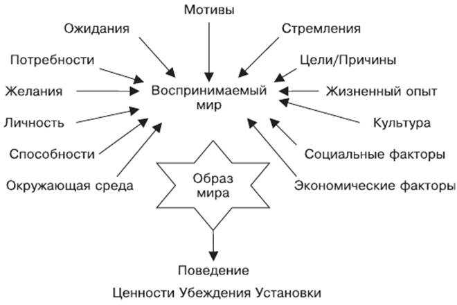 Виды когнитивных схем