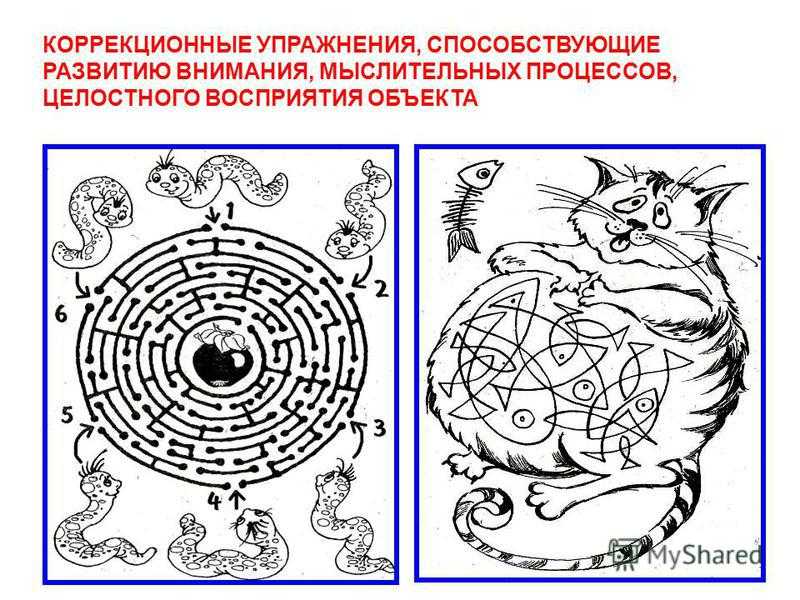 Презентация тренировка внимания