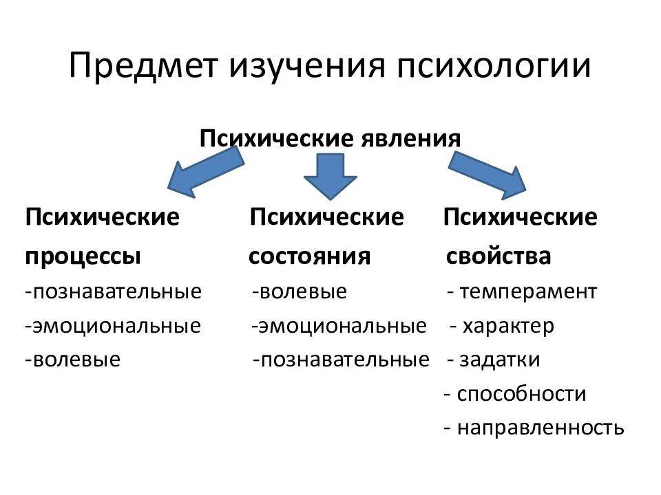 Что изучает общая психология. Общая психология предмет изучения. Классификация психических явлений схема. Психологические процессы состояния свойства и явления. Классификация психологических процессов.