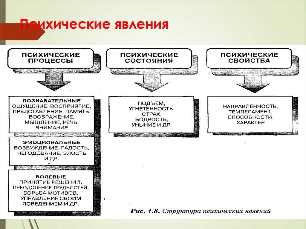 Психические свойства человека