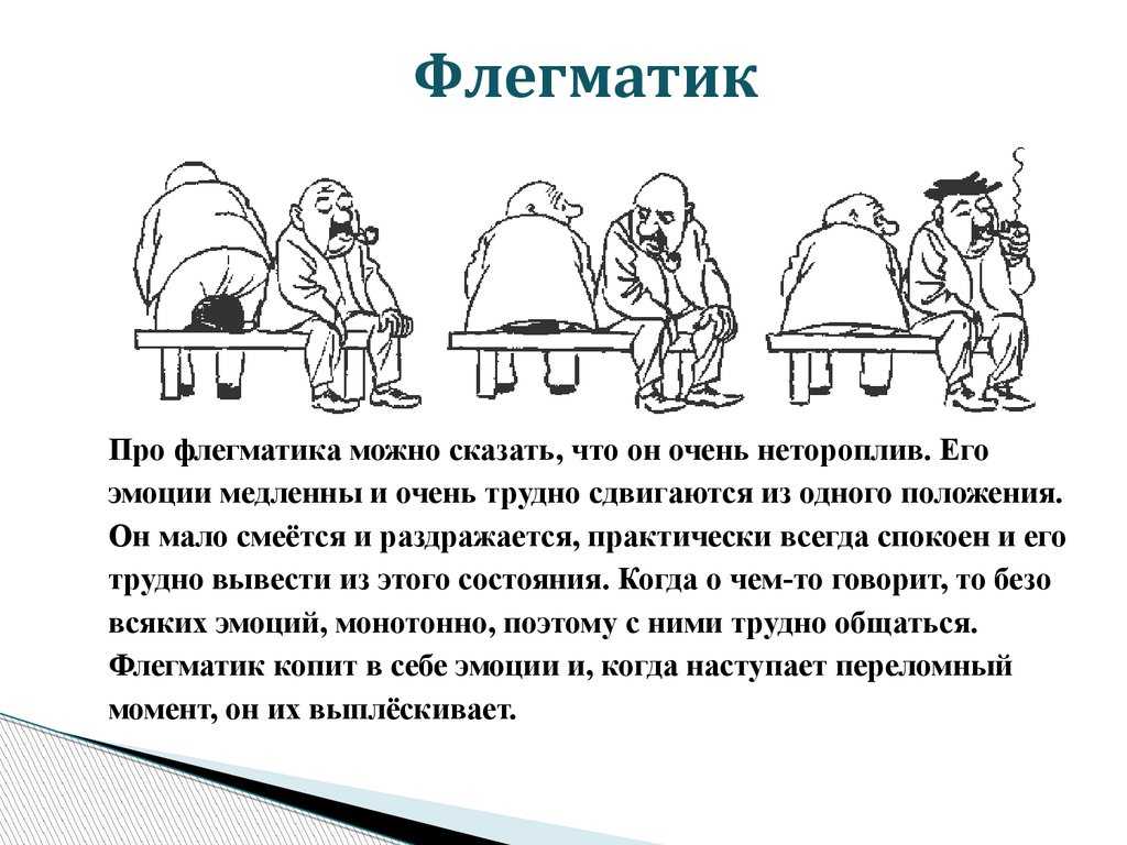 Признаки флегматика. Флегматик описание темперамента. Флегматик Тип темперамент. Флегматик Тип темперамента описание. Свойства темперамента флегматика.