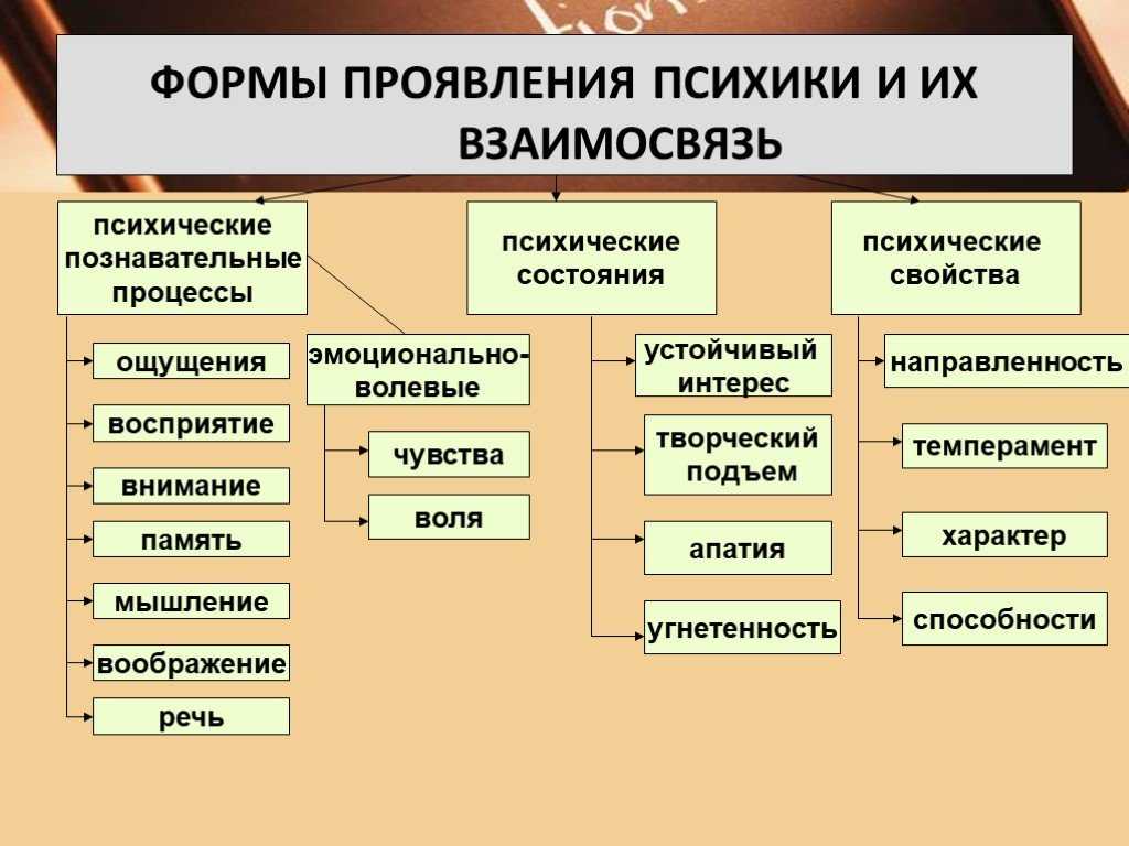 Психические процессы в схемах