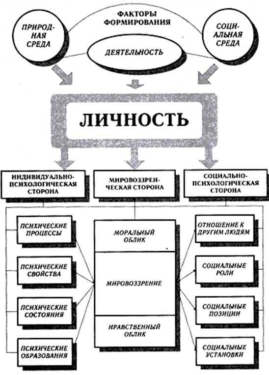 Какова психологическая структура личности ответ представьте в виде схемы с комментарием