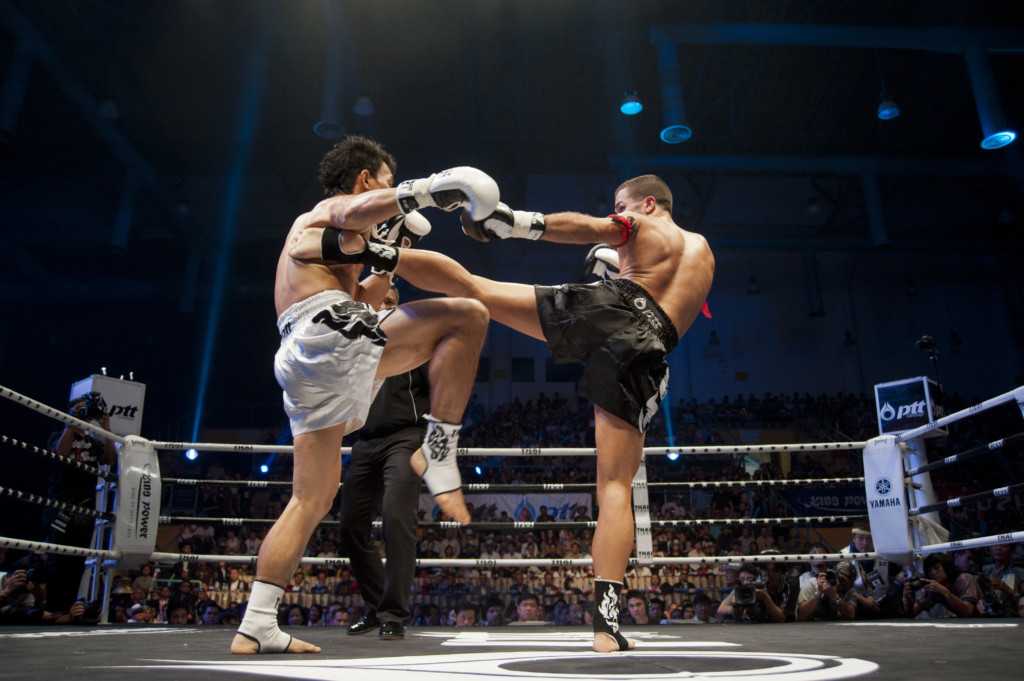 Что лучше муай тай или бокс Бокс и тайский бокс различия и преимуществаv