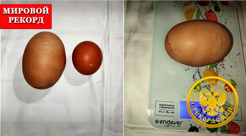 Яйцо курицы вес. Размер яиц. Самые крупные куриные яйца. Самое большое куриное яйцо. Рекорд куриного яйца.