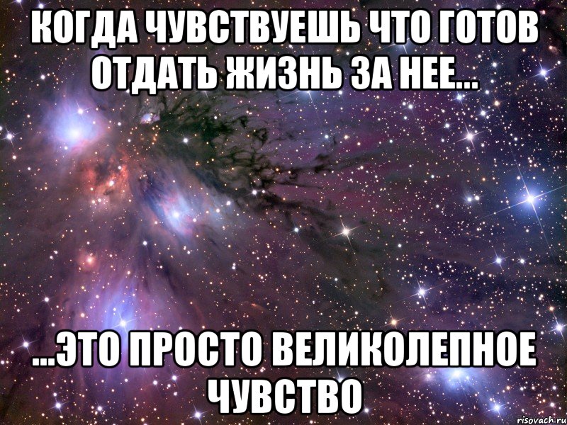 Что чувствует мужчина внутри женщины. Что чувствуешь когда любишь. Я готов отдать жизнь. Любовь это когда готов отдать. Я за тебя готов отдать жизнь.