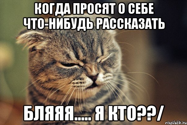 Значение чего нибудь. Картинка когда просят о себе рассказать. Что написать когда просят рассказать о себе. Рассказать что нибудь о себе. Мем расскажи о себе.