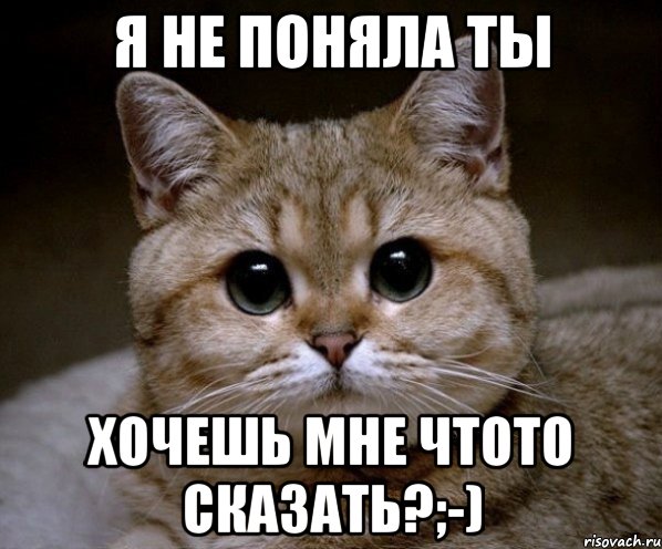 Понимаю осознаю. Я тебя не понимаю. Уйди противный. Я не понимаю. Уйди противный картинки.