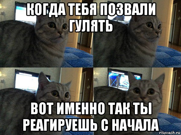 Я пришел позвать