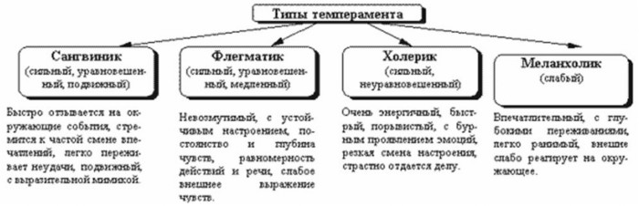 Основные типы темперамента