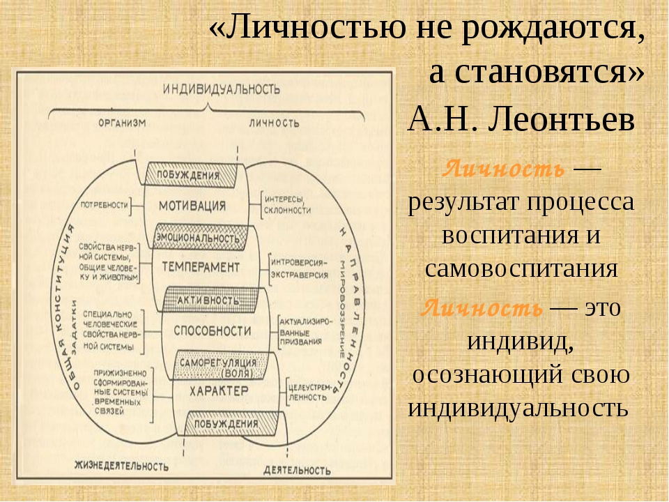 Изучение психики человека как индивида