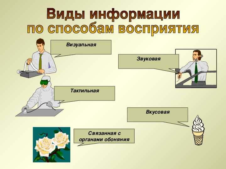 Виды информации по способу восприятия иллюстрации. Виды информации. Виды информации по способу её восприятия. Виды информации по способу восприятия Информатика. Способы восприятия информации.