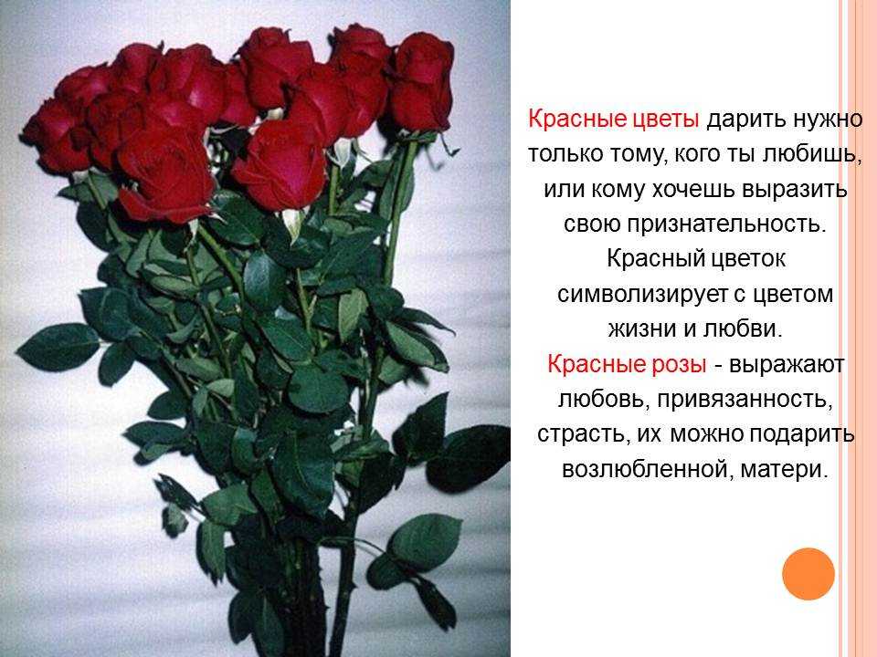 Сколько цветов не дарят. Значение роз на языке цветов. Красные розы на языке цветов. Значение подаренных цветов. Смысл цвета роз.