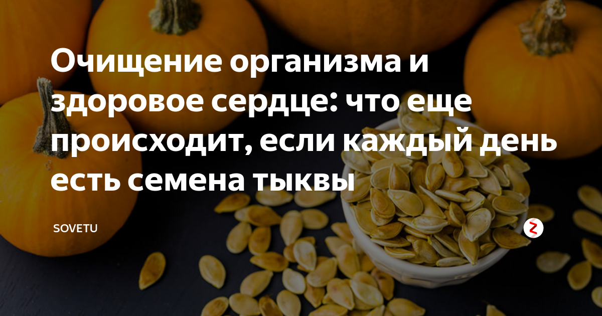 Тыквенные семечки польза и вред для организма. Тыква семена здоров. Тыквенные семечки для очищения организма. Норма тыквенных семечек в сутки.